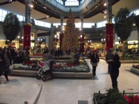 /album/galerie-photos/a27-decembre-2010-094-jpg/